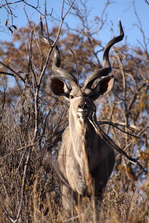 Klipdrift Ouklip Game Lodge מראה חיצוני תמונה
