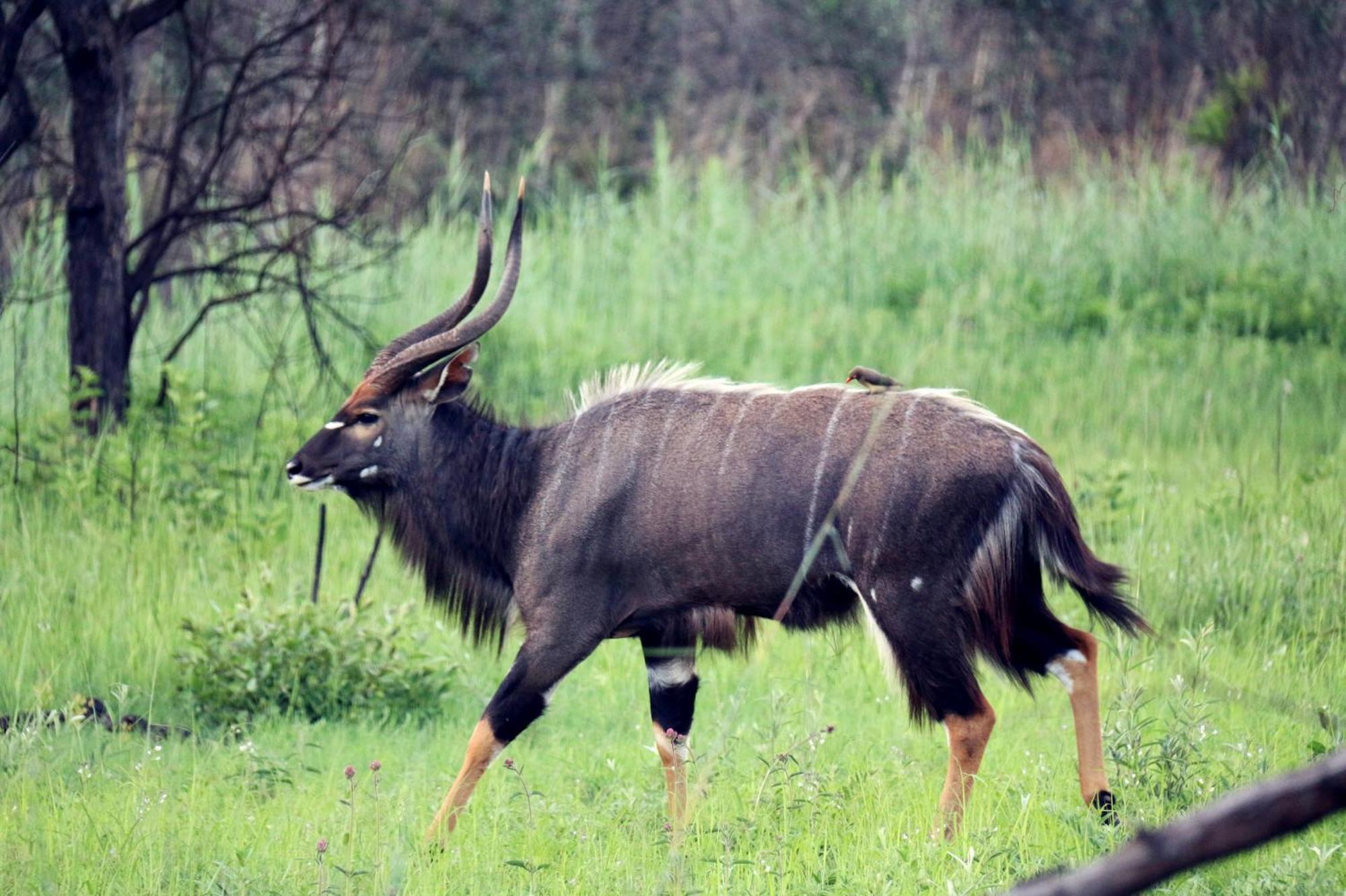 Klipdrift Ouklip Game Lodge מראה חיצוני תמונה