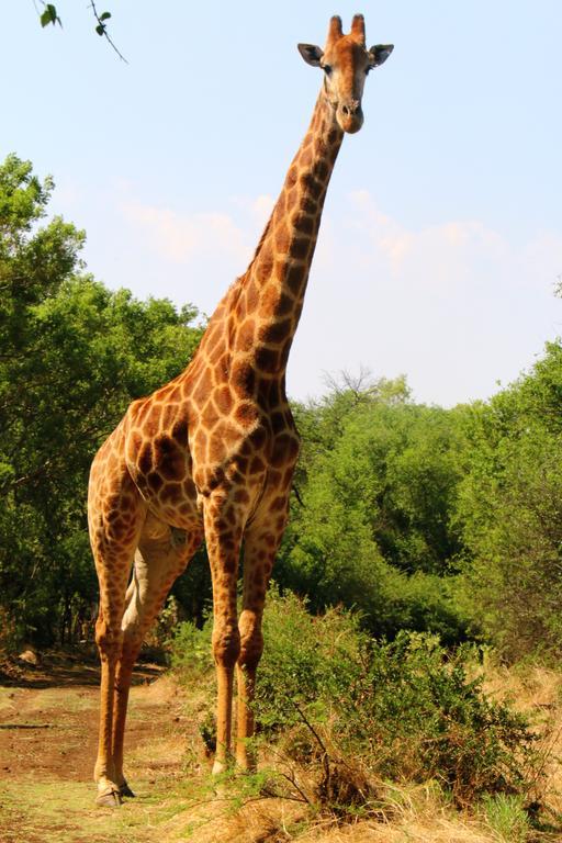 Klipdrift Ouklip Game Lodge מראה חיצוני תמונה
